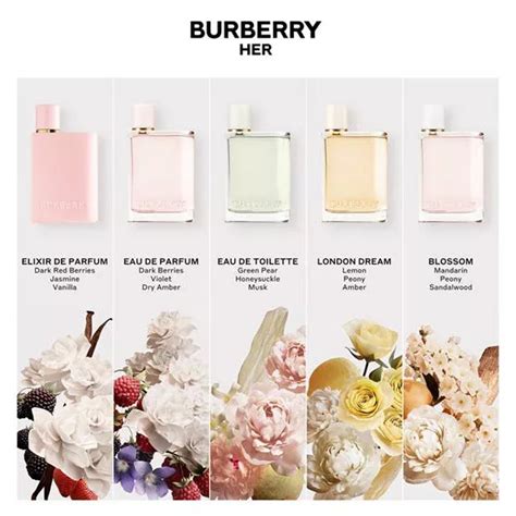 burberry her parfum review|which Burberry scents smells best.